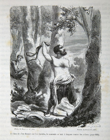 Au lieu de s'en donner sur les épaules, le sournois se mit à frapper contre les arbres (page 605).