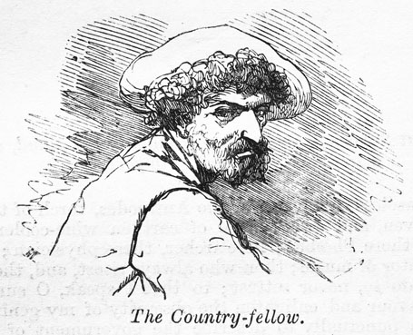 The Country-fellow.