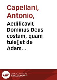 Aedificavit Dominus Deus costam, quam tule[]at de Adam in mulierem : Gen. C. II. V. 22,  Romae in Aedibus Vaticanis Nella Capella Sistina