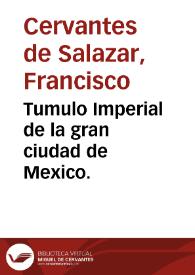 Tumulo Imperial de la gran ciudad de Mexico.