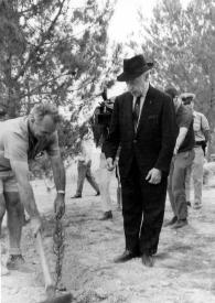 Plano general de Arthur Rubinstein observando a un hombre cavar una zanja para plantar un árbol