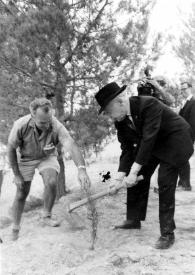 Plano general de Arthur Rubinstein cavando una zanja para plantar un árbol ayudado por un hombre