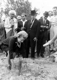 Plano general de Aniela Rubinstein plantando un árbol. Al fondo observándola: Rueven Rubin, Señor Barzilai (Ministro de Sanidad Pública de Israel) y Arthur Rubinstein