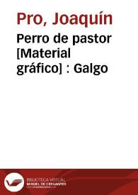 Perro de pastor [Material gráfico] : Galgo