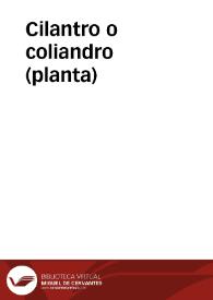 Cilantro o coliandro (planta)