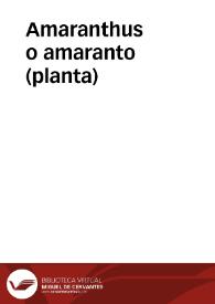 Amaranthus o amaranto (planta)