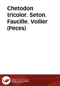 Chetodon tricolor. Seton. Faucille. Voilier (Peces)