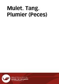 Mulet. Tang. Plumier (Peces)