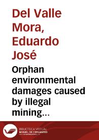 Orphan environmental damages caused by illegal mining activities in Colombia: Should landowners be liable?