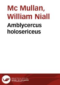 Amblycercus holosericeus