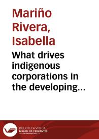 What drives indigenous corporations in the developing world to engage in CSR as a management strategy? Case study of the sugarcane and ethanol industry in the Cauca Valley, Colombia