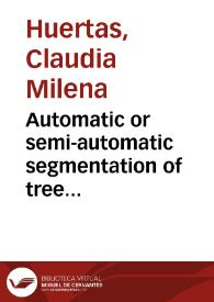 Automatic or semi-automatic segmentation of tree crowns in tropical forest from high resolution images and laser scans