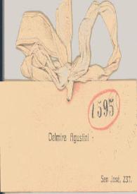 Carta de Agustini, Delmira | Biblioteca Virtual Miguel de Cervantes