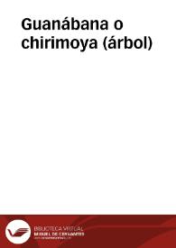 Guanábana o chirimoya (árbol) | Biblioteca Virtual Miguel de Cervantes