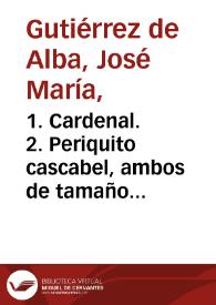 1. Cardenal. 2. Periquito cascabel, ambos de tamaño natural. Aves de las tierras calientes | Biblioteca Virtual Miguel de Cervantes