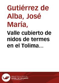 Valle cubierto de nidos de termes en el Tolima (Chaparral). Curiosidades de las tierras calientes | Biblioteca Virtual Miguel de Cervantes