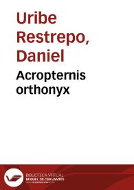 Acropternis orthonyx | Biblioteca Virtual Miguel de Cervantes