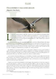 Halconero y halcones reales / Alejandro Peris Barrio | Biblioteca Virtual Miguel de Cervantes