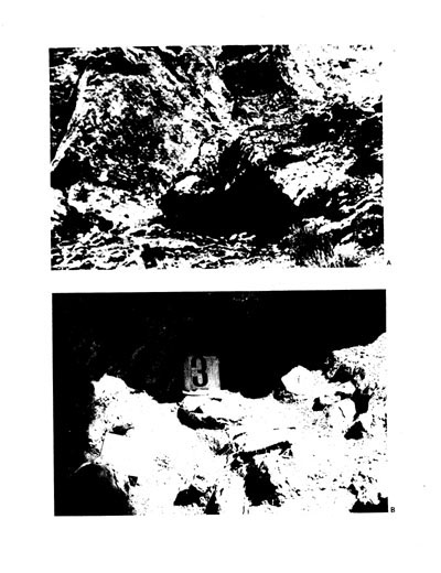 Boca y huesos de la Cueva Oriental n.º 3