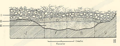 Corte estratigráfico del yacimiento por c-d