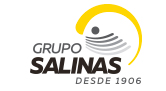 Arte y Cultura del Grupo Salinas