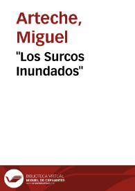'Los Surcos Inundados'