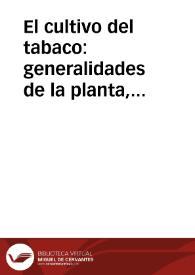 El cultivo del tabaco: generalidades de la planta, clima y suelo...