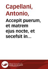 Accepit puerum, et matrem ejus nocte, et secefsit in Aegyptum, Matth. II
