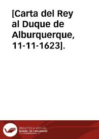 [Carta del Rey al Duque de Alburquerque, 11-11-1623].