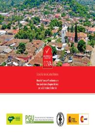 Control urbano 09CL : Ciclo de Gestión de Centros Históricos : manual de procesos y procedimientos para el control urbano de los centros históricos