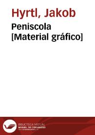 Peniscola [Material gráfico]