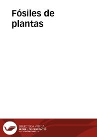 Fósiles de plantas