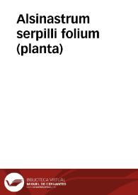 Alsinastrum serpilli folium (planta)