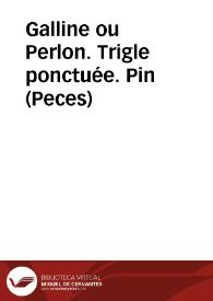 Galline ou Perlon. Trigle ponctuée. Pin (Peces)