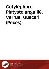Cotyléphore. Platyste anguillé. Verrue. Guacari (Peces)