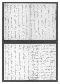 [Carta de Carmen Romero Rubio de Díaz a Antonio en México. París, 21 de enero de 1919]