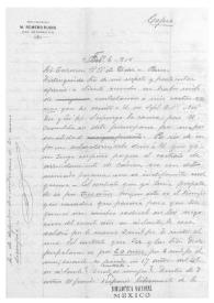 [Copia de una carta de Enrique Danel a Carmen Romero Rubio de Díaz en París. México, 6 de febrero de 1919]
