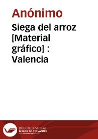 Siega del arroz [Material gráfico] : Valencia