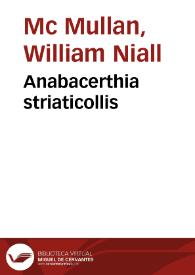 Anabacerthia striaticollis