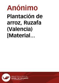 Plantación de arroz, Ruzafa (Valencia) [Material gráfico]