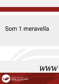 Som 1 meravella (1988) [Ficha de la serie de  TV]