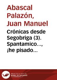 Portada:Crónicas desde Segobriga (03). Spantamico..., ¡he pisado tu nombre! / Juan Manuel Abascal Palazón