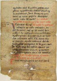 Fragment d'una versió catalana del Liber Iudiciorum visigòtic : (Forum iudicum) | Biblioteca Virtual Miguel de Cervantes