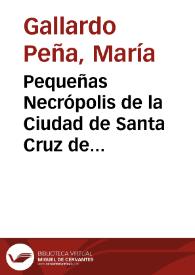 Portada:Pequeñas Necrópolis de la Ciudad de Santa Cruz de Tenerife / María Gallardo Peña
