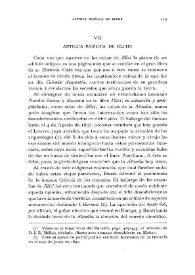 Más información sobre Antigua basílica de Elche / Pedro Ibarra Ruiz