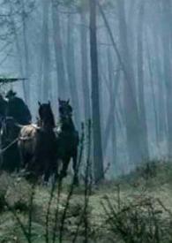 Un rodaje poco problemático / Gonzalo Suárez | Biblioteca Virtual Miguel de Cervantes