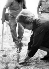 Portada:Plano general de Aniela Rubinstein (perfil izquierdo, en cuclillas) plantando un árbol