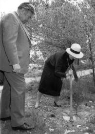 Portada:Plano general de Teddy Kollek observando a Aniela Rubinstein plantando un árbol