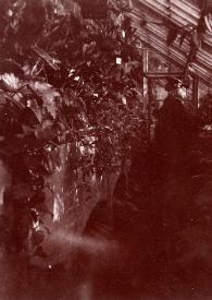 Portada:Plano general de la Señora de Rosentower y un hombre observando unas plantas en un invernadero