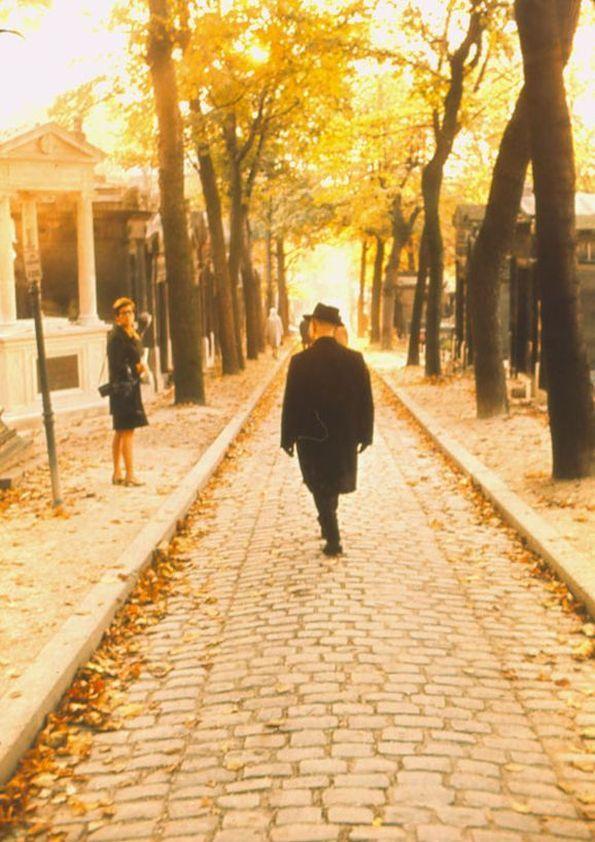 Plano general de Arthur Rubinstein de espaldas, caminando entre las ...